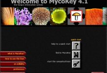 MycoKey 4.1 正式版-真菌信息系统-联合优网