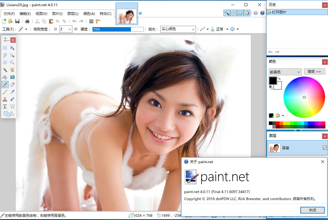 Paint.NET v4.2.13 Final 多语言中文正式版-图像和照片处理软件