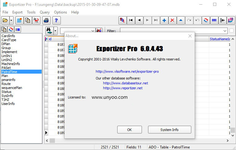 Exportizer Pro 6.0.4.43 注册版-数据库编辑软件