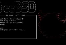 FreeBSD 11.0 正式版发布：支持RISC-V指令集和NUMA内存调度-联合优网