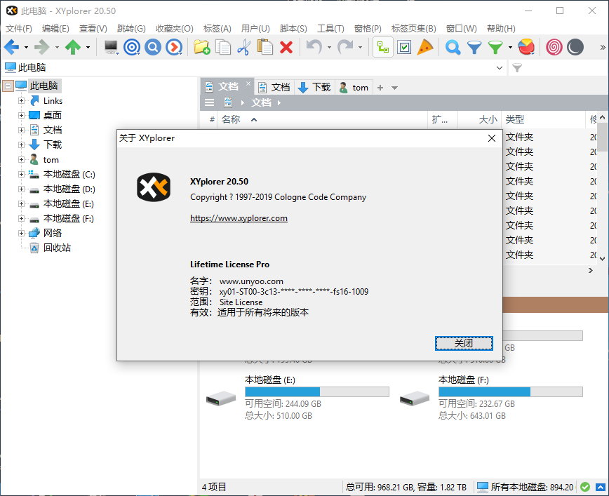 XYplorer 20.50.0000 + Portable 多语言中文注册版-多标签文件管理器