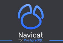 Navicat for PostgreSQL v15.0.10 企业注册版-简体中文/繁体中文/英文-联合优网