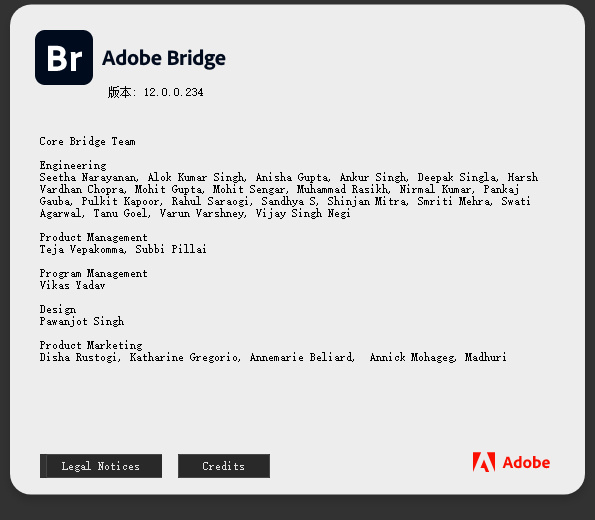 Adobe Bridge 2022 Multilingual v12.0.0.234 正式版