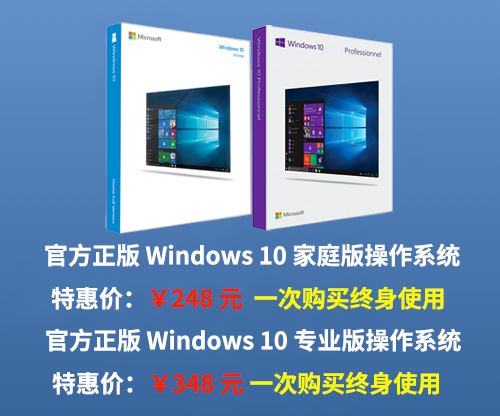 Windows 10 家庭版/专业版操作系统软件
