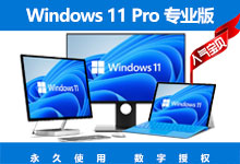 微软官方正版特价！Windows 11 Pro 专业版 仅需 348 元! 家庭版 仅需 248 元！支持绑定数字权利和授权迁移！-联合优网